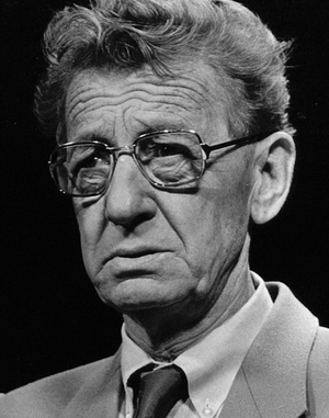 Simon Carmiggelt